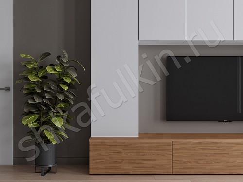 Изображение цвета Стенка Соло  Минимализм  Гостиная 