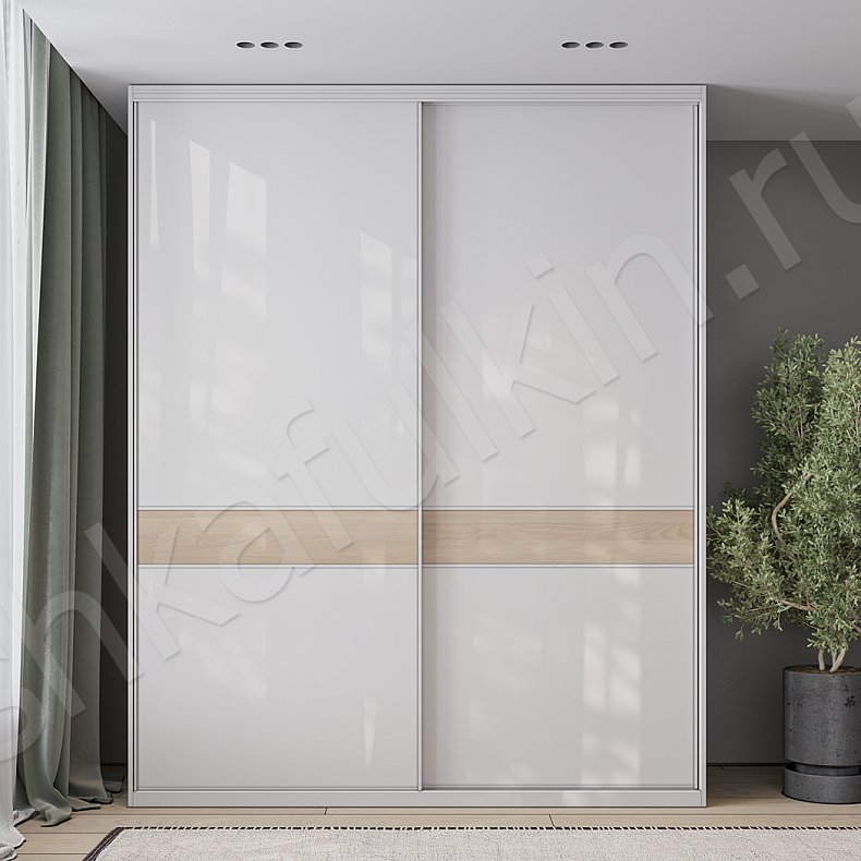 Шкаф-купе Руффало Светлые Современный 2х створчатые Гостиная Для вещей 1