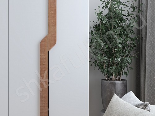 Изображение цвета Шкаф Ронни  Современный 4х створчатые Гостиная 