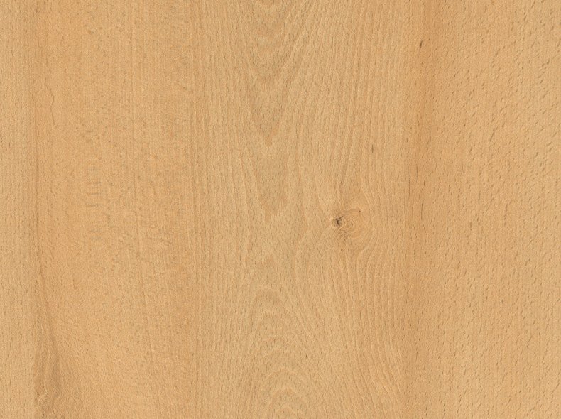 H1910 ST9 Бук луговой