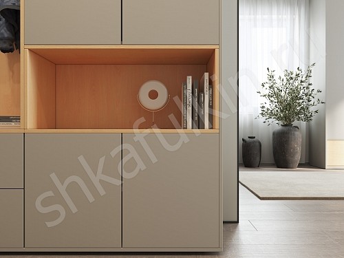 Изображение цвета Прихожая Мэрри  Минимализм 2х створчатые Прихожая 