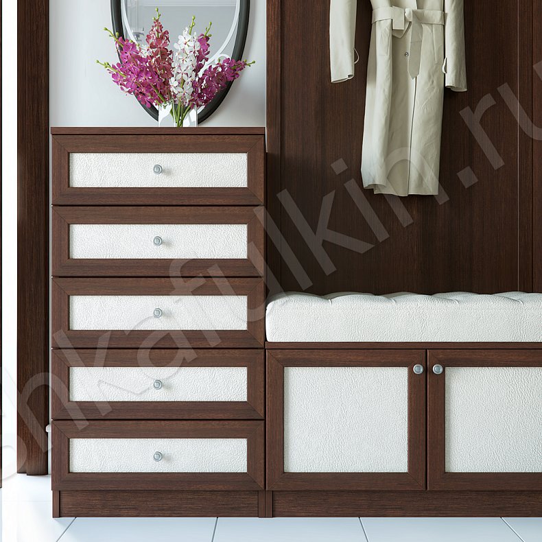 Прихожая Каппучино Древесный Темные Классика 2х створчатые Коридор Для вещей 3