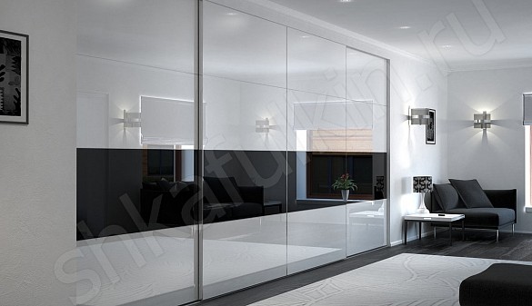 Встроенный шкаф-купе белый с черным Дафнис