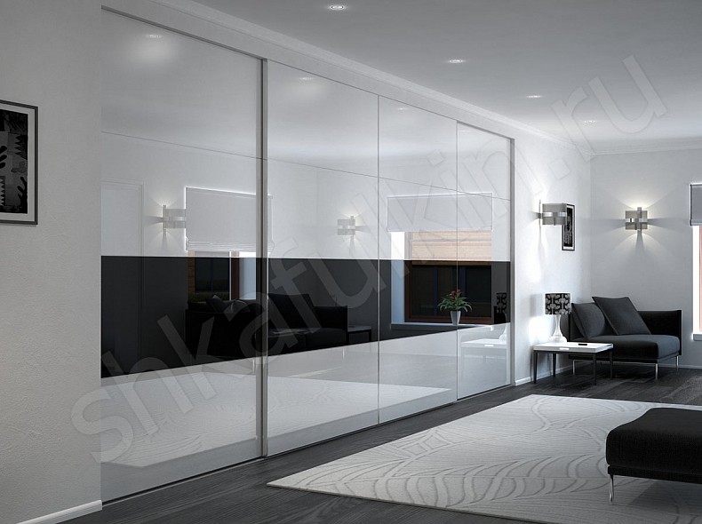 Встроенный шкаф-купе белый с черным Дафнис