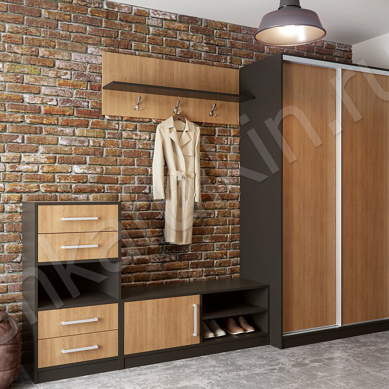 Прихожая Лофт Черный Древесный Светлые Лофт 2х створчатые Коридор Для вещей 3