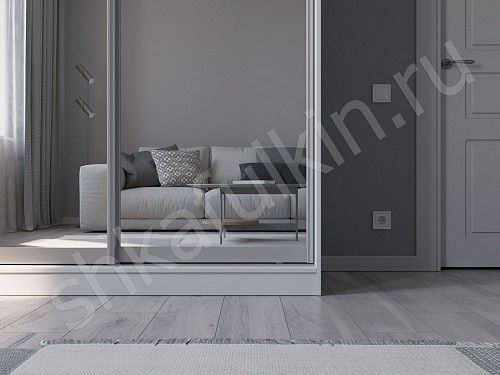 Изображение цвета Шкаф Зирро  Минимализм 2х створчатые Прихожая 