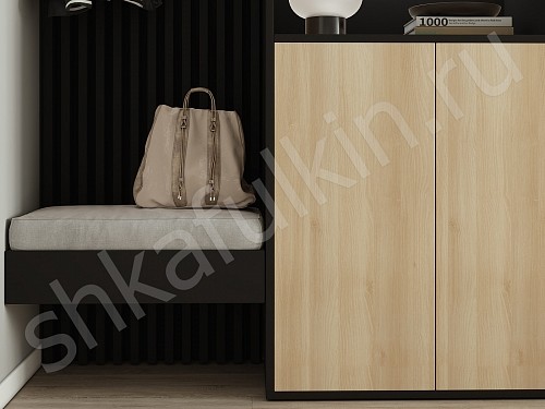 Прихожая Донни  Минимализм 2х створчатые Прихожая 