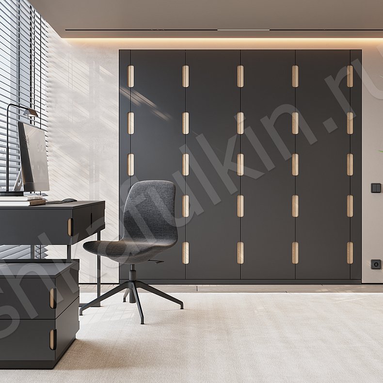 Кабинет Декарт Черный Современный 4х створчатые Гостиная Для книг