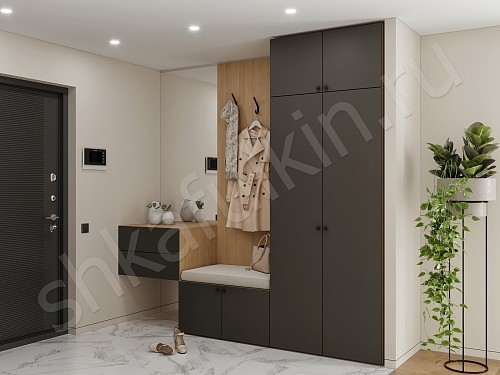 Изображение цвета Прихожая Олли  Минимализм 2х створчатые Прихожая 
