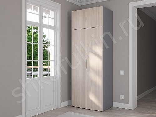 Изображение цвета Шкаф Тони Светлые Современный 2х створчатые  