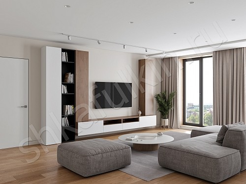 Изображение цвета Стенка Вуди  Скандинавский   Под ТВ