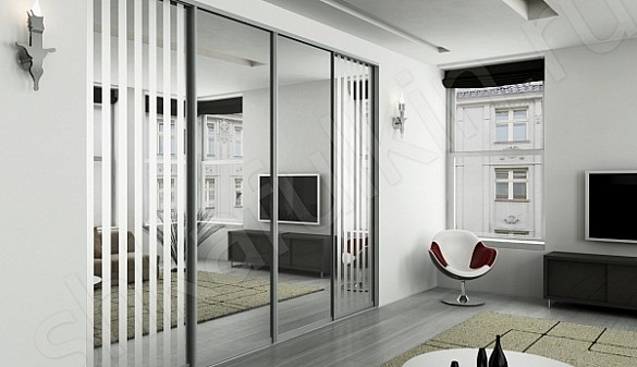 Встроенный шкаф-купе Зебра