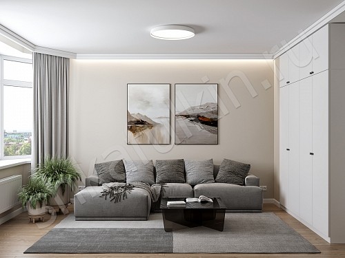 Изображение цвета Шкаф Фостер     