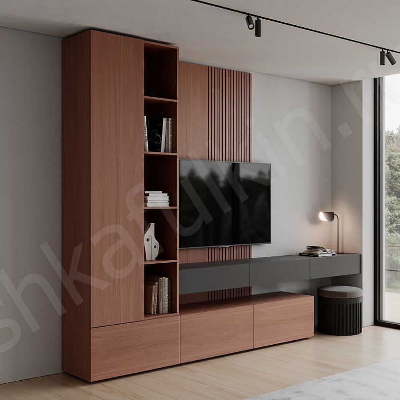 Изображение Стенка Виардо Древесный Темные Минимализм 2х створчатые Гостиная Для книг Под ТВ 1