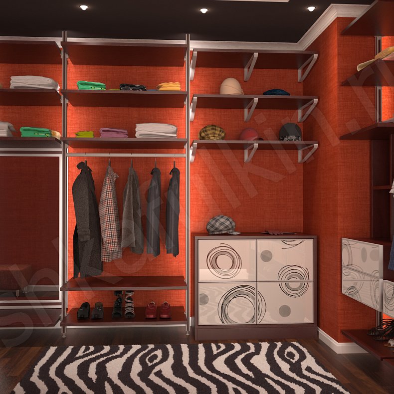 Изображение Гардеробная Иллюзия  Современный  Гардеробная  4