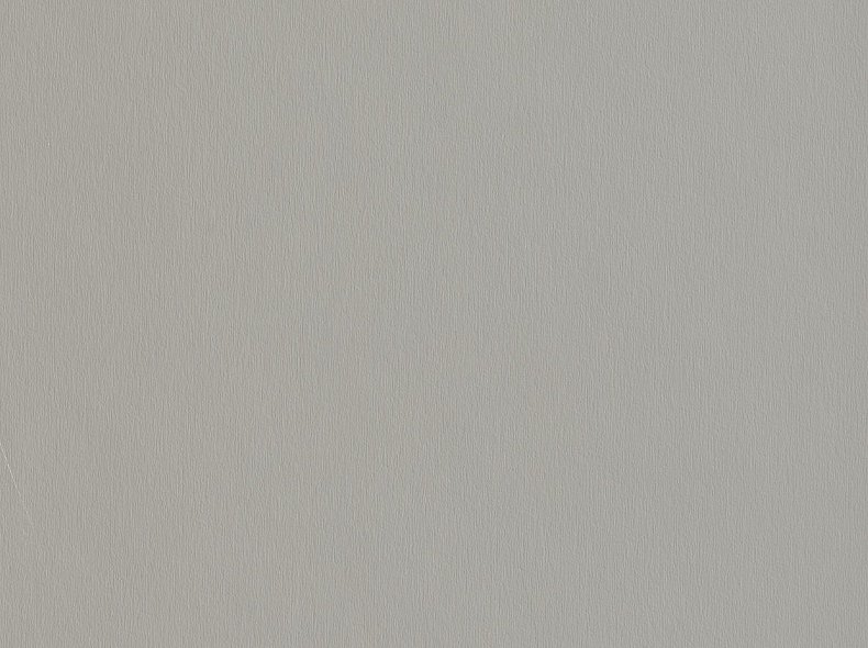 F765 ST20 Серебристый матовый