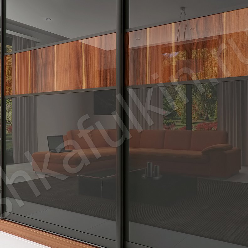 Корпусный шкаф-купе Торрес Ола Темные Древесный Черный Модерн 3х створчатые Гостиная Для вещей 4