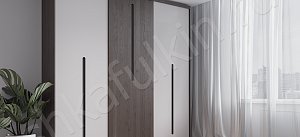 Шкаф-купе Парадигма