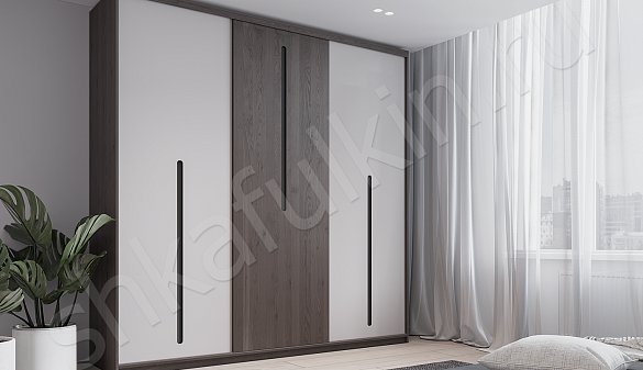 Шкаф-купе Парадигма