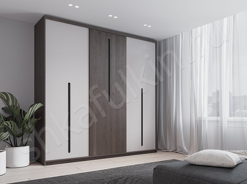 Шкаф-купе Парадигма