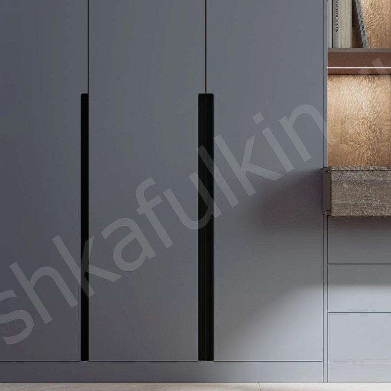 Кабинет Эйнштейн Серый Современный 3х створчатые Спальня Для книг 3