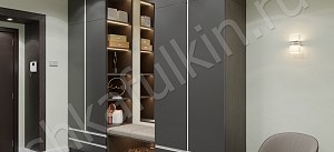 Шкаф в прихожую Торро