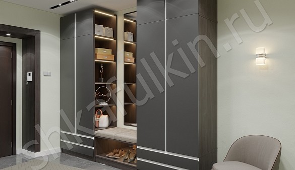 Шкаф в прихожую Торро