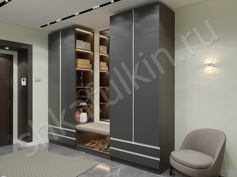 Шкаф в прихожую Торро