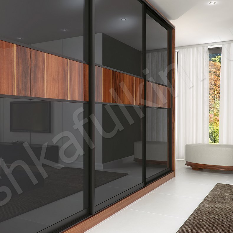 Корпусный шкаф-купе Торрес Ола Темные Древесный Черный Модерн 3х створчатые Гостиная Для вещей 3