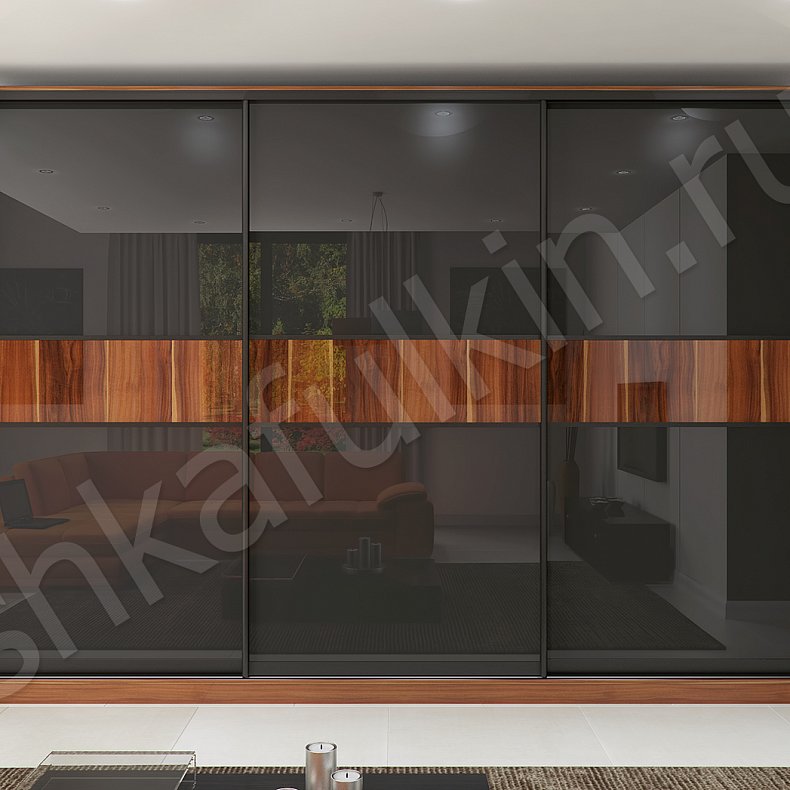 Корпусный шкаф-купе Торрес Ола Темные Древесный Черный Модерн 3х створчатые Гостиная Для вещей 1