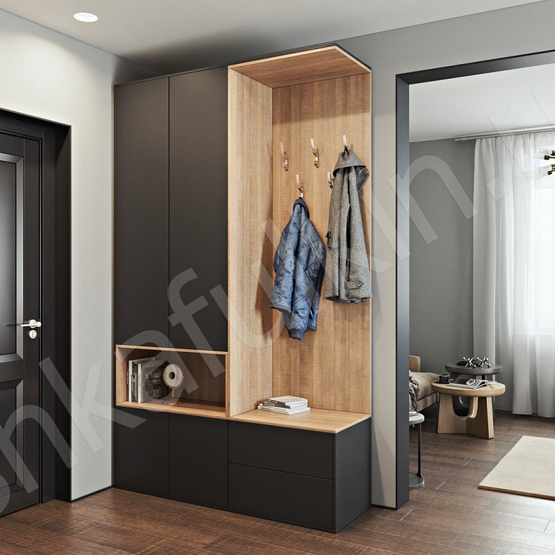 Изображение Прихожая Терри Темные Древесный Черный Минимализм 2х створчатые Прихожая Для вещей Для декора Для книг 1