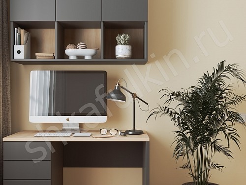 Рабочая зона Монни  Современный   