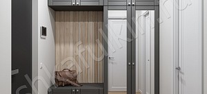 Шкаф в прихожую Грей