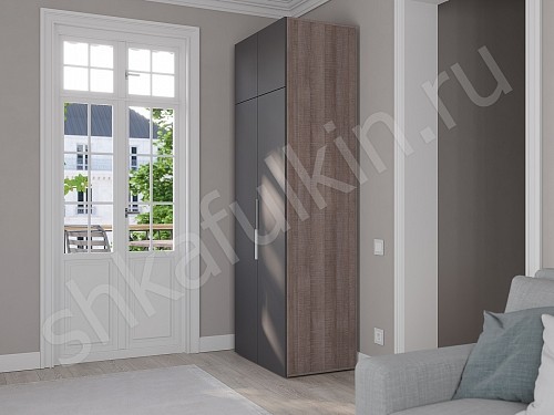 Изображение цвета Шкаф Тони Светлые Современный 2х створчатые  