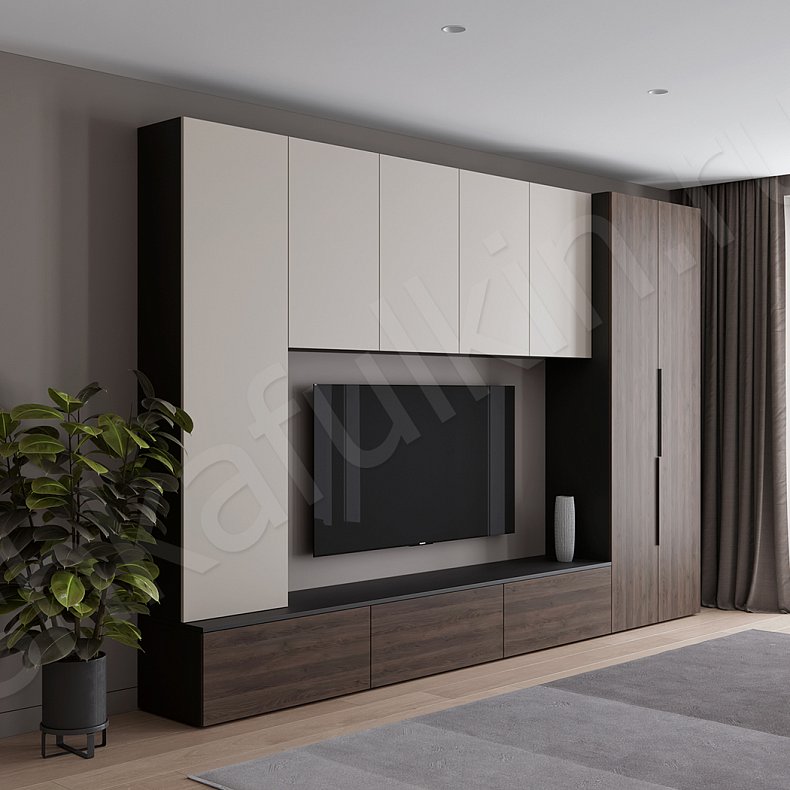 Изображение Стенка Соло Серый Белый Черный Древесный Светлые Темные Скандинавский 2х створчатые Гостиная Для книг Для декора Под ТВ 8