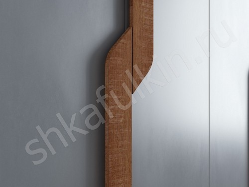 Изображение цвета Шкаф Ронни  Современный 4х створчатые Гостиная 