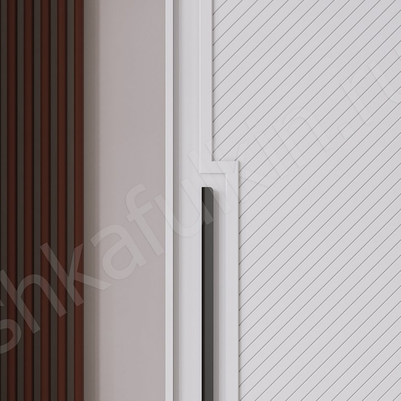 Шкаф-купе Танзано Белый Модерн 2х створчатые Гостиная Для вещей 4