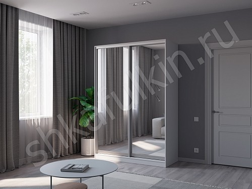 Изображение цвета Шкаф Зирро  Минимализм 2х створчатые Прихожая 