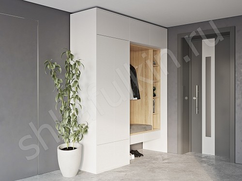 Изображение цвета Прихожая Ивари  Минимализм 2х створчатые Прихожая 