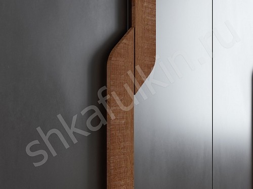 Изображение цвета Шкаф Ронни  Современный 4х створчатые Гостиная 