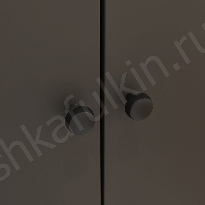 Изображение Прихожая Олли Черный Темные Скандинавский 2х створчатые Прихожая Для вещей 3