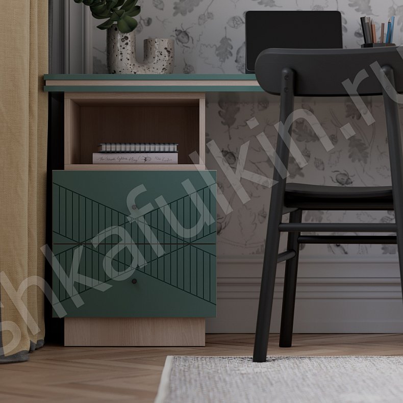 Изображение Детская Хадсон Древесный Зеленый Модерн 2х створчатые Детская Для книг Для вещей 5