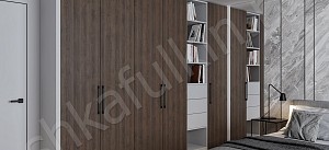 Встроенный шкаф Дубус