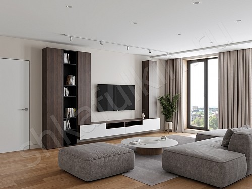 Изображение цвета Стенка Вуди  Скандинавский   Под ТВ