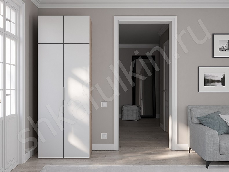 Изображение цвета Шкаф Тони Светлые Современный 2х створчатые  