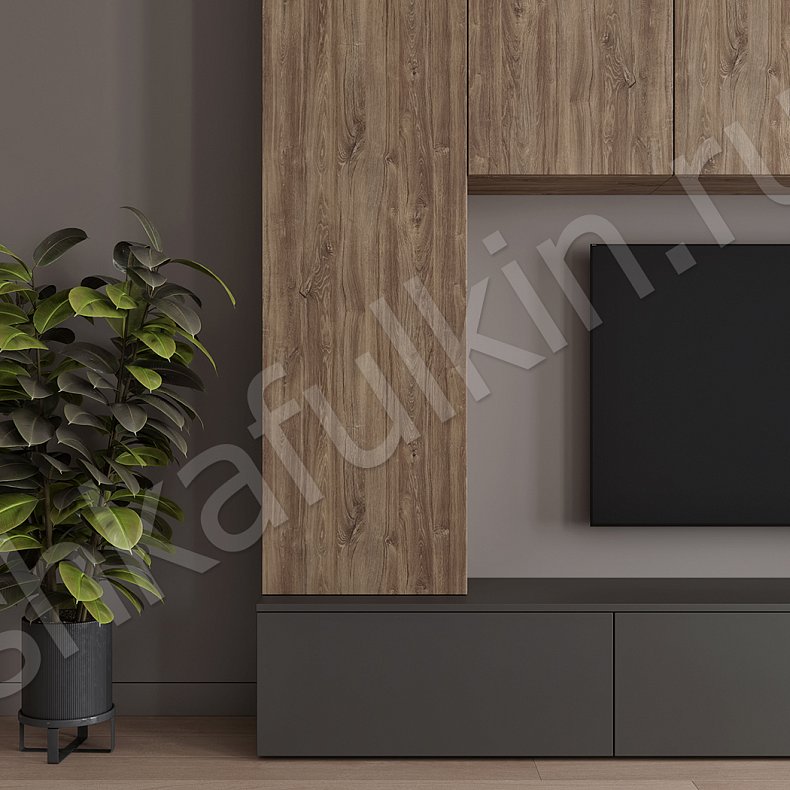 Изображение Стенка Соло Серый Белый Черный Древесный Светлые Темные Скандинавский 2х створчатые Гостиная Для книг Для декора Под ТВ 11