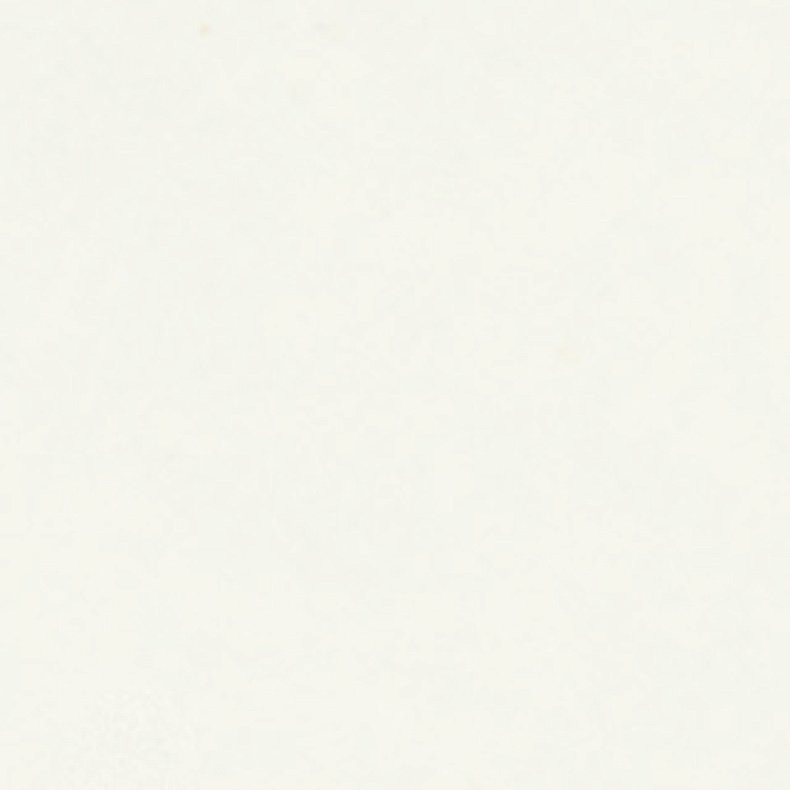 W960 SM Белый классический