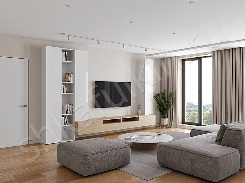 Изображение цвета Стенка Вуди  Скандинавский   Под ТВ