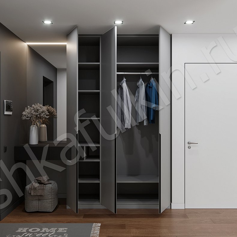 Изображение Шкаф в прихожую Амиго Черный Светлые Серый Минимализм 3х створчатые Прихожая Для вещей 1