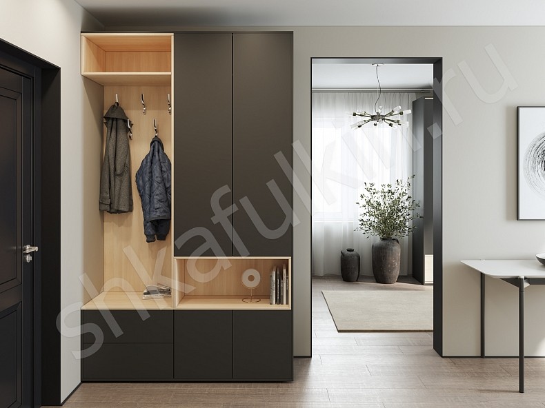 Изображение цвета Прихожая Мэрри  Минимализм 2х створчатые Прихожая 